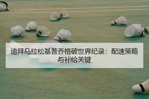 di-bai-ma-la-song-ji-pu-qiao-ge-po-shi-jie-ji-lu-pei-su-ce-lve-yu-bu-ji-guan-jian-2-156.jpg