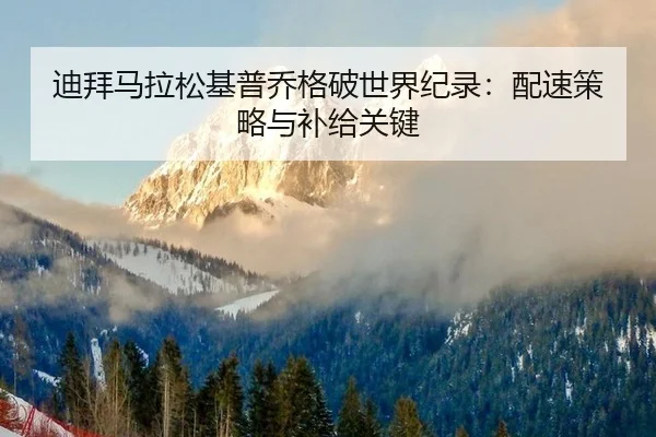 di-bai-ma-la-song-ji-pu-qiao-ge-po-shi-jie-ji-lu-pei-su-ce-lve-yu-bu-ji-guan-jian-3-300.jpg