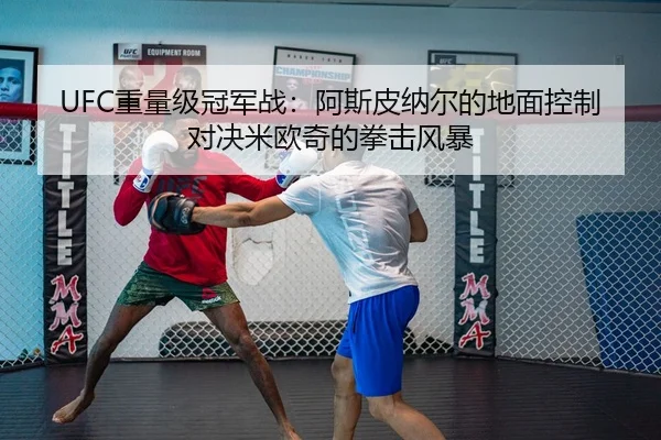 UFC重量级冠军战：阿斯皮纳尔的地面控制对决米欧奇的拳击风暴