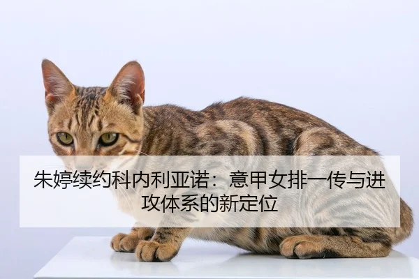 zhu-ting-xu-yue-ke-nei-li-ya-nuo-yi-jia-nv-pai-yi-chuan-yu-jin-gong-ti-xi-de-xin-ding-wei-2-116.jpg