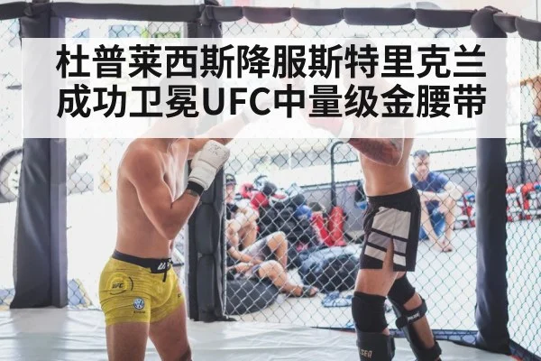 mixed martial arts cage fight