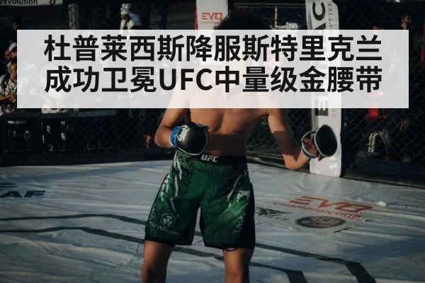 UFC championship belt